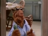 Alf-sigin-alf-33176064-480-360.jpg Alf-sigin-alf-33176064-480-360.jpg