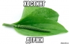 risovach.ru.jpg