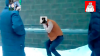 213111.png