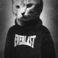 EVERLAST