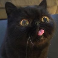 _Котейка^_^
