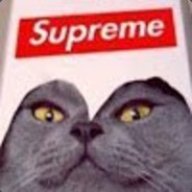 Supremecat V 2.0