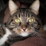 Просто Max