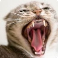 [Novux] Бешенный Кот