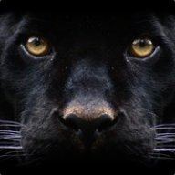 Panther