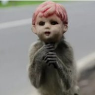 _gadged_