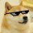 ◥◣ ✘》DOGE《✘◢◤